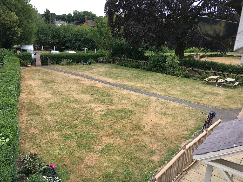 Garden 1