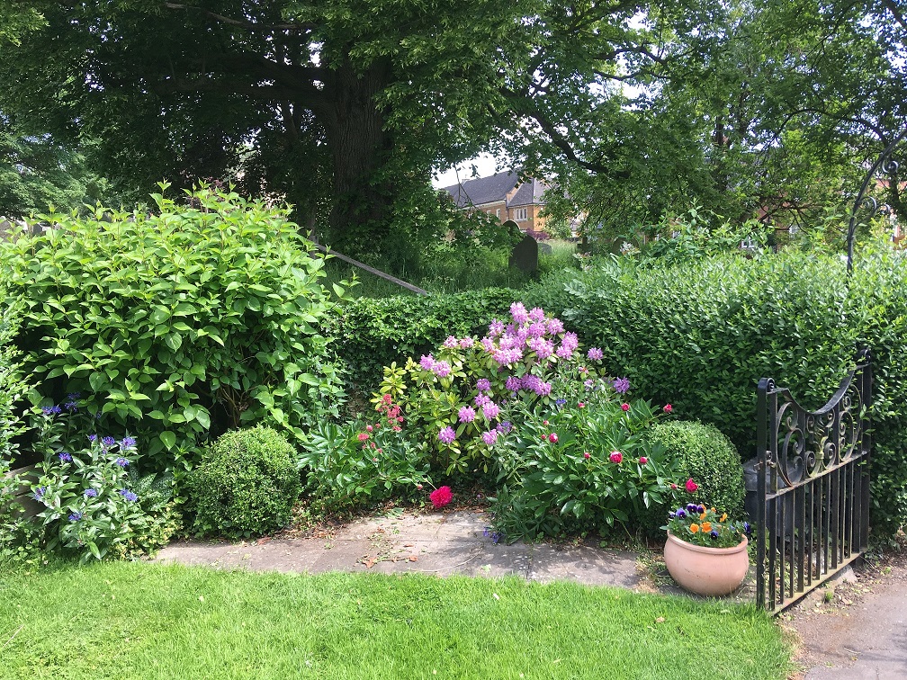 Garden 3