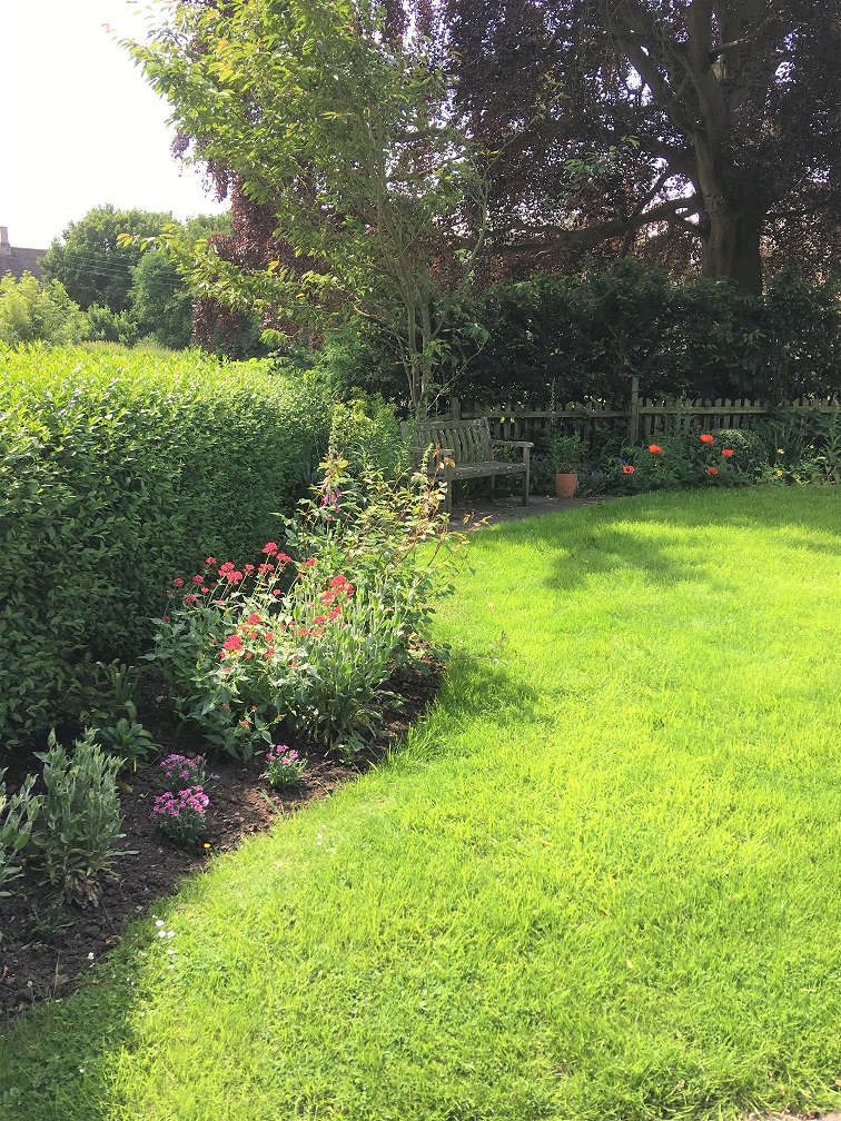 Garden 4