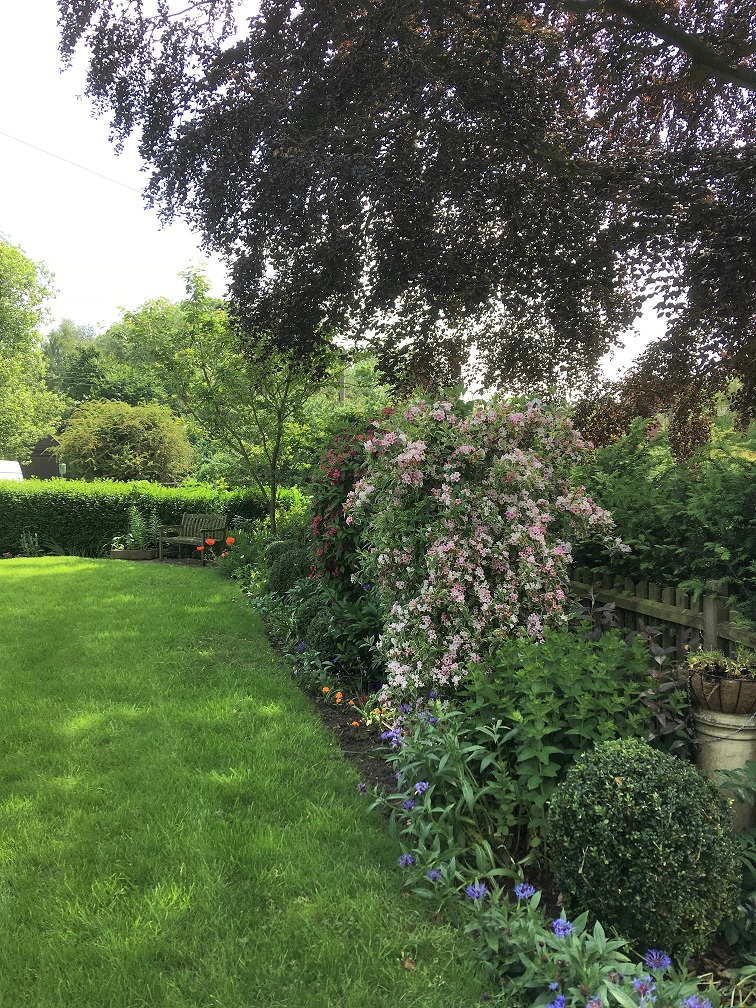 Garden 5