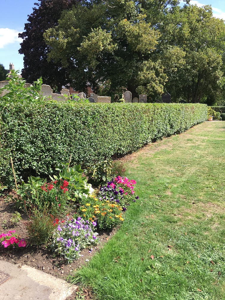 Garden 6